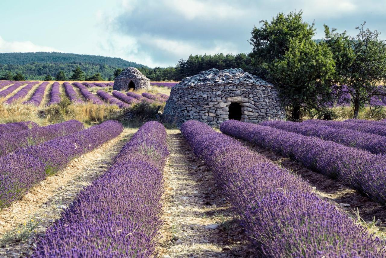 Gite La Bastide De La Loge Au Pied Du Mont Ventoux Sault-de-Vaucluse Exterior foto